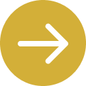 Website Button